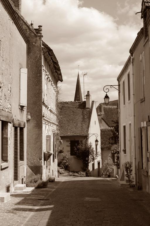 Le Meuble Monestois Villa Mennetou-sur-Cher Buitenkant foto